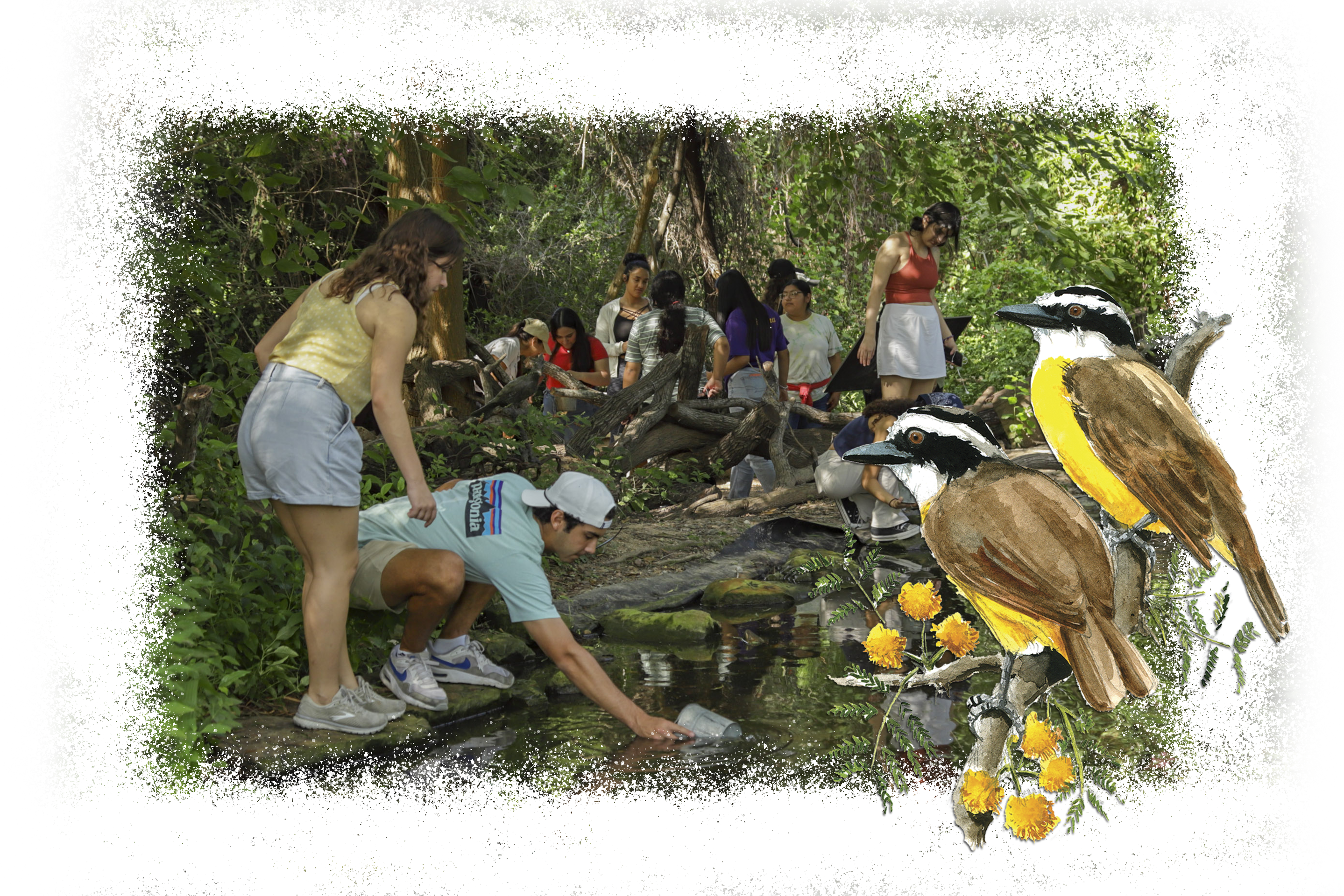 DonateImage Show Your Support Image Classes w Kiskadee copy