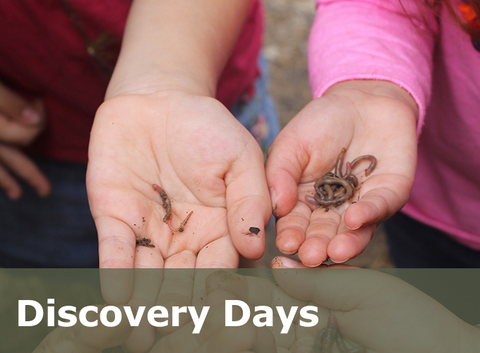 Discovery Days