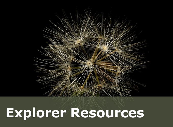 Explorer Resources