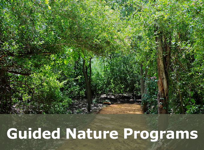 Guided Nature Programs