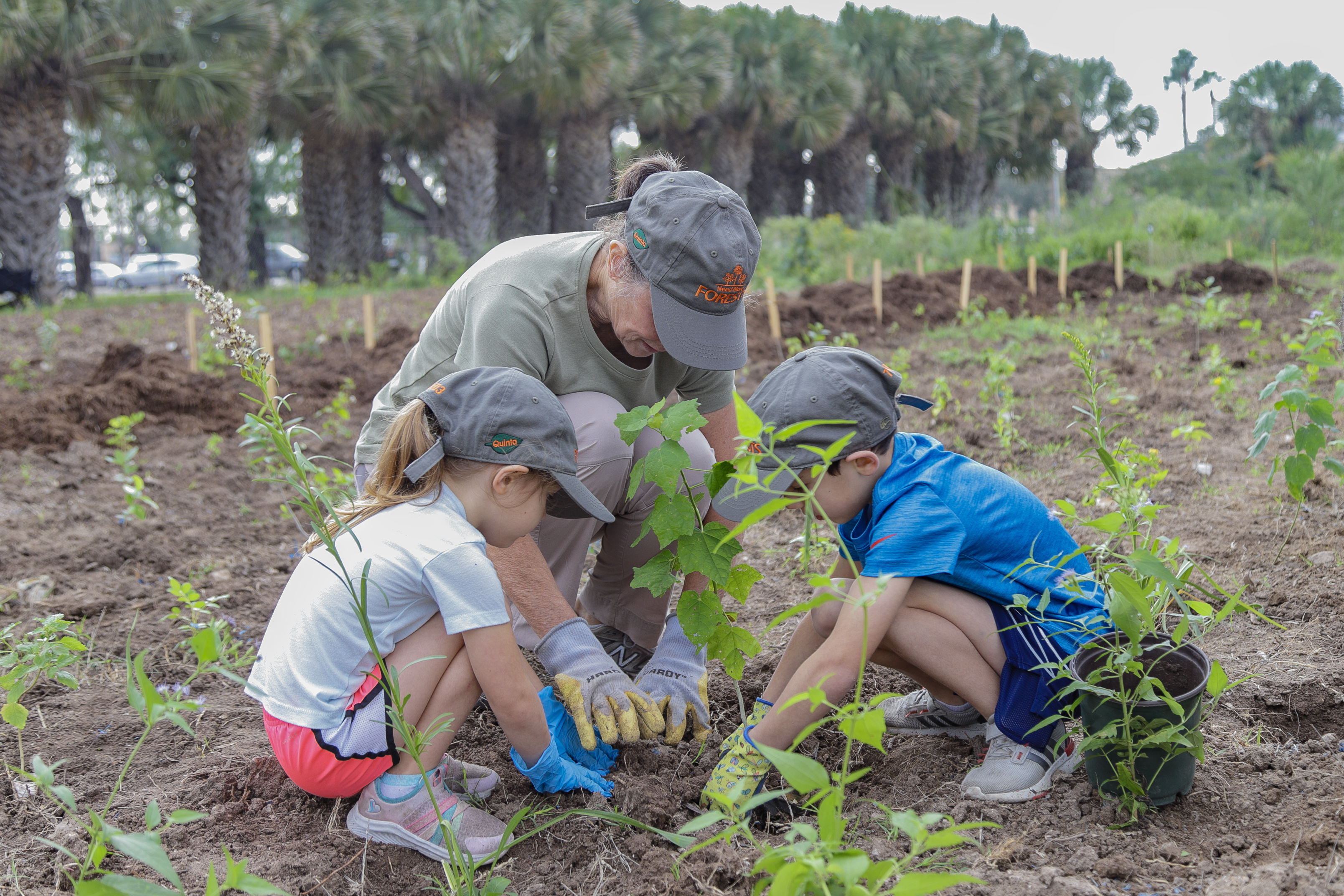 Community Planting Day (1)