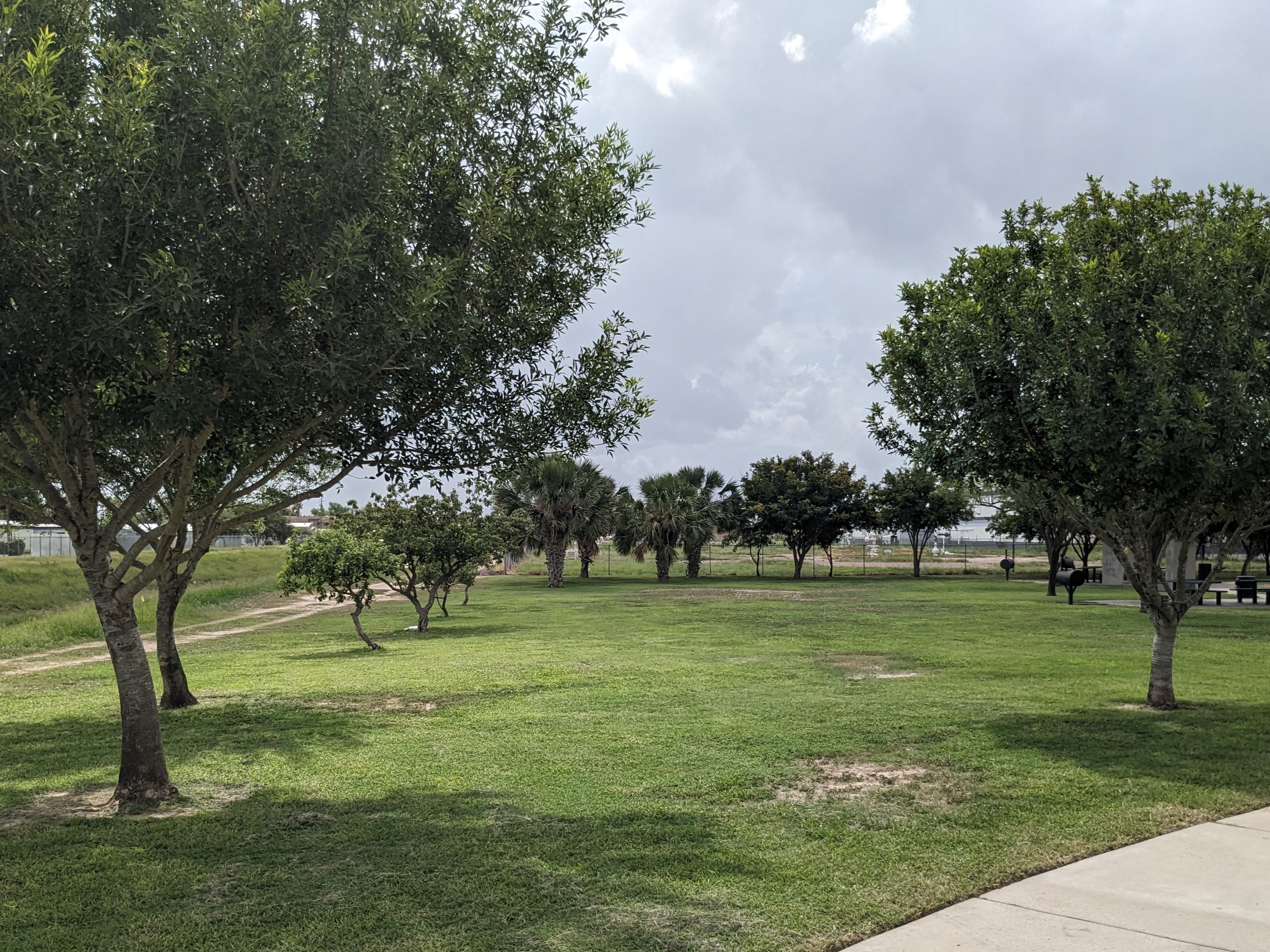 Before: a space dominated by irrigated turfgrass